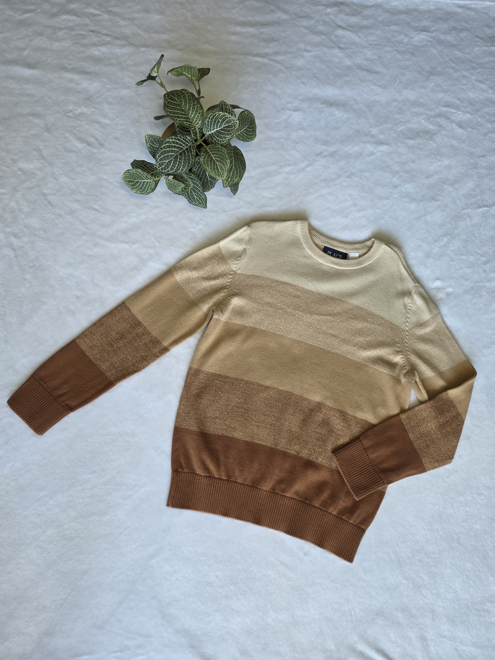 The Children's Place Striped Sweater in Cream and Brown Tones